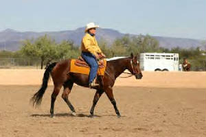 heidesaddle.jpg